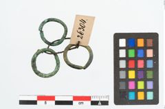 Foto von Bronzering (NHMW-PRAE-026304)